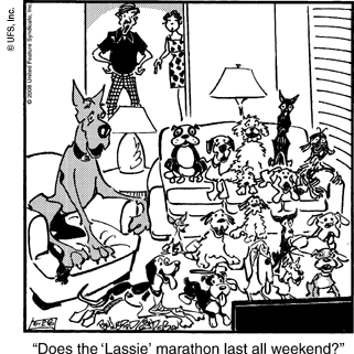 marmaduke